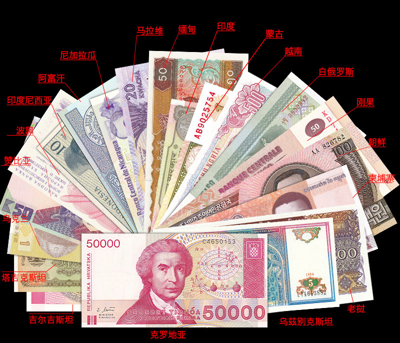 世界货币份额(世界各个货币份额)