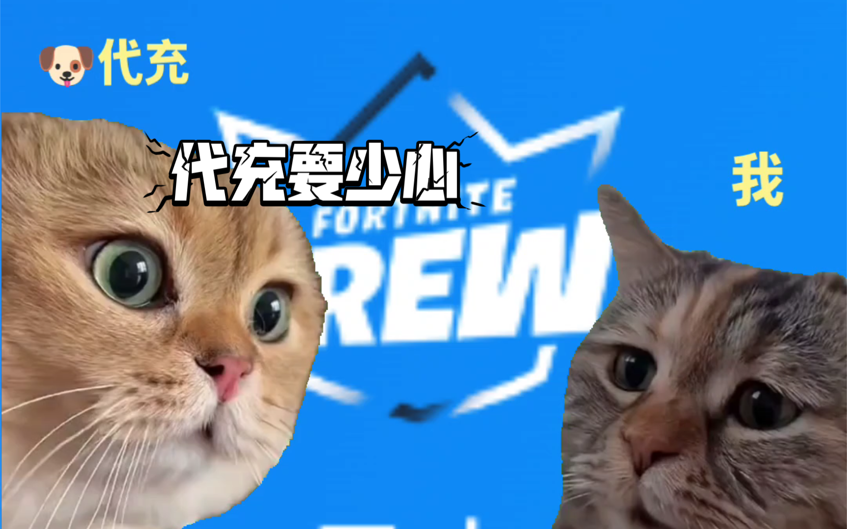 v币(v的小写字母怎么写)