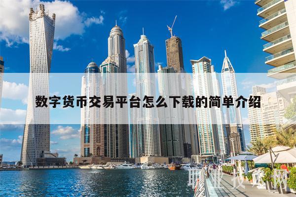 数字交易货币(数字交易货币收款 银行卡收款码收款)
