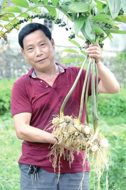 库得币(裤的笔顺)